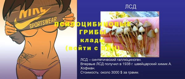 хмурый Алзамай