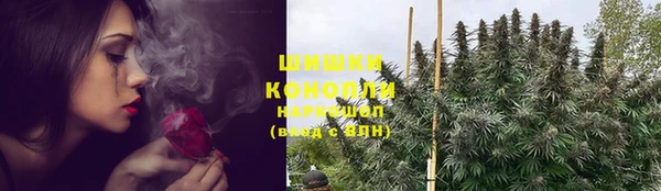 сатива Елизово