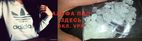 хмурый Алзамай