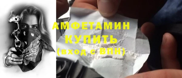хмурый Алзамай