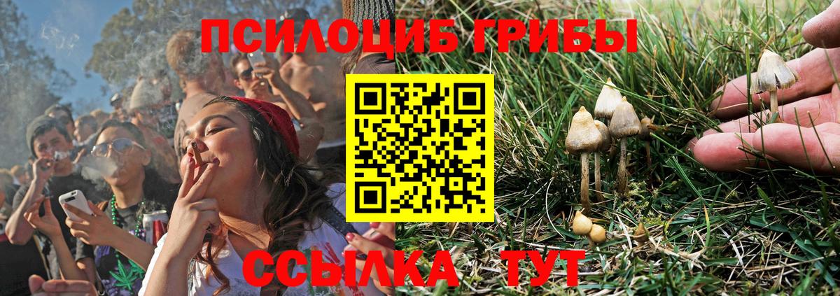 Псилоцибиновые грибы ЛСД  Вход с VPN  магазин  наркотиков  Псилоцибиновые грибы MAGIC MUSHROOMS  Астрахань 