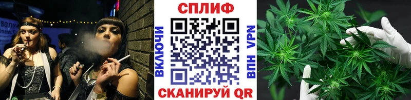 купить закладку  Астрахань  Бошки Шишки ГИДРОПОН 